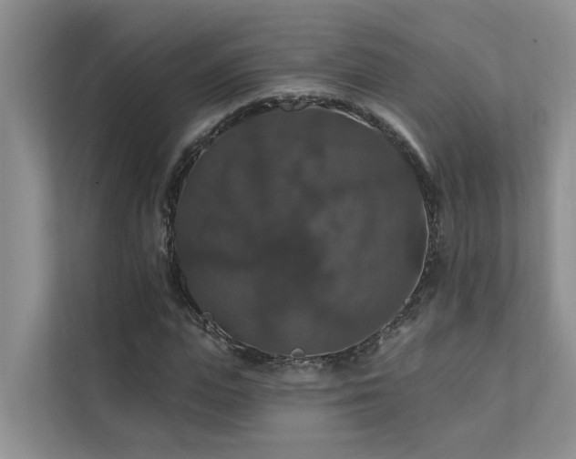 X0000111580823200907161423