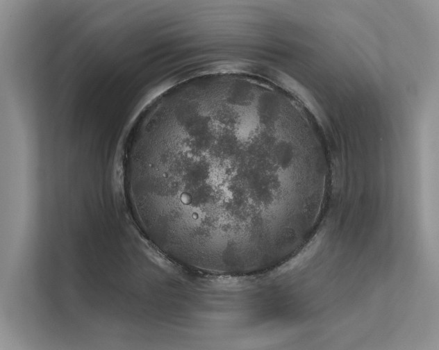 X0000111580827200907161423