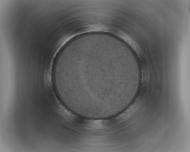X0000111580828200907161423
