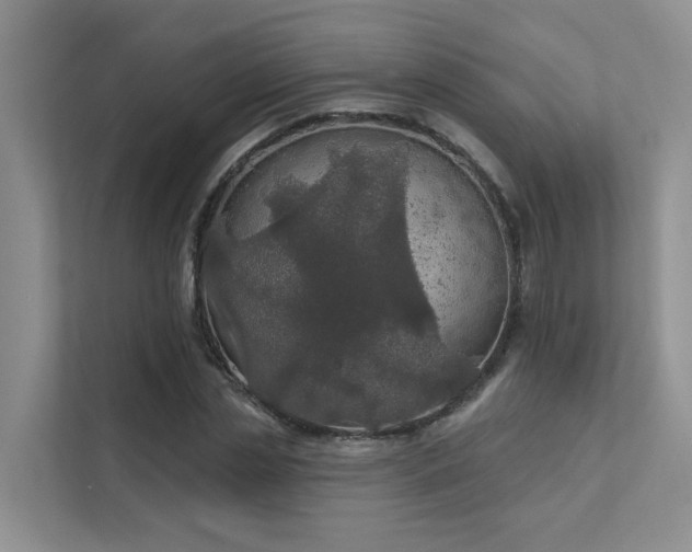 X0000111580829200907161423