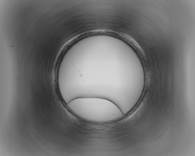 X0000111580831200907161423