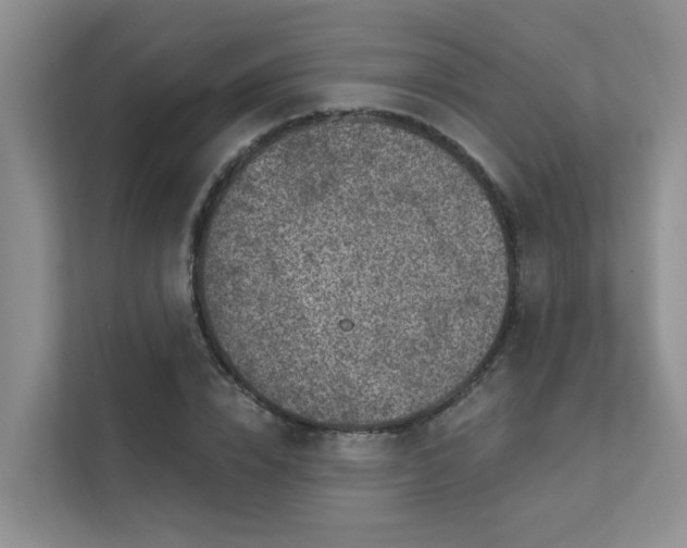 X0000111580832200907161423