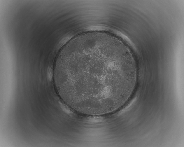 X0000111580833200907161423
