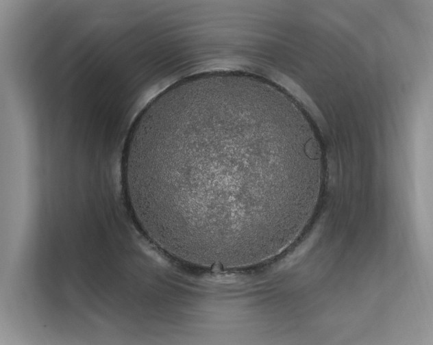 X0000111580834200907161423