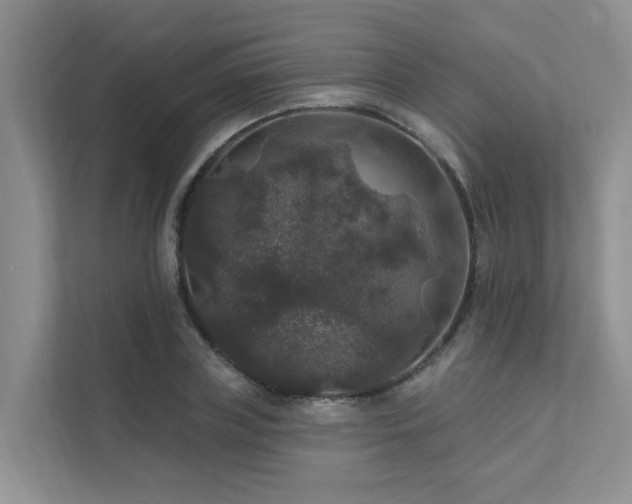 X0000111580835200907161423