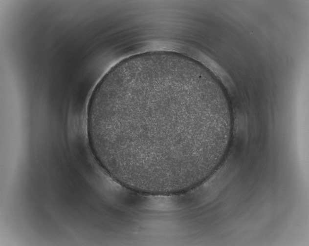 X0000111580836200907161423