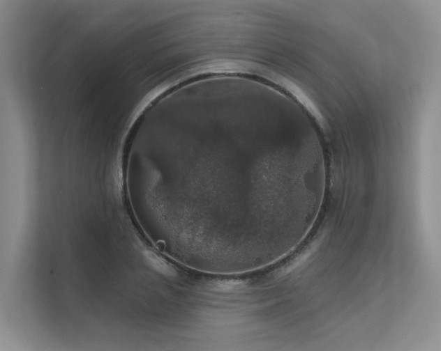 X0000111580837200907161423
