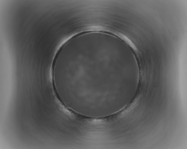 X0000111580839200907161423