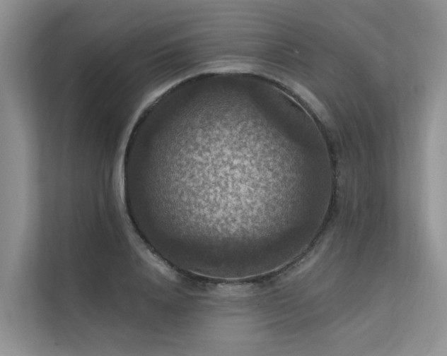 X0000111580840200907161423