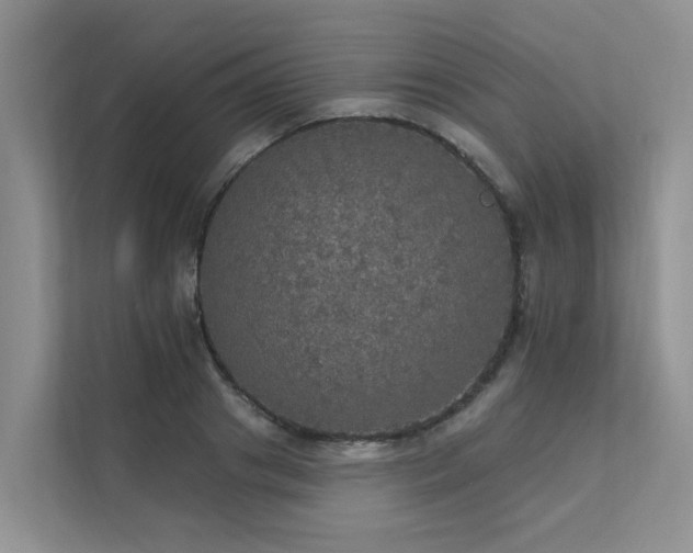 X0000111580841200907161423