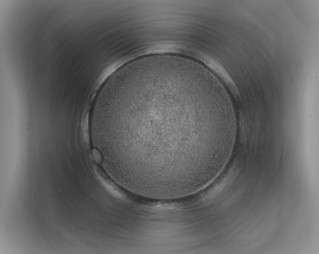 X0000111580842200907161423