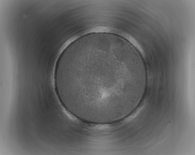 X0000111580845200907161423