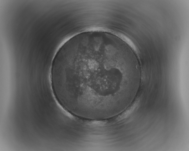 X0000111580847200907161423