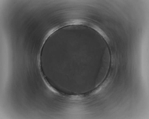 X0000111580850200907161423