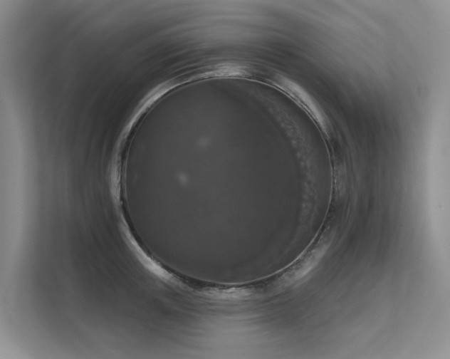 X0000111580851200907161423