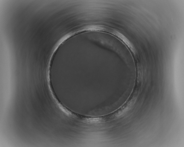 X0000111580853200907161423