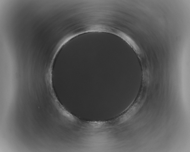 X0000111580854200907161423