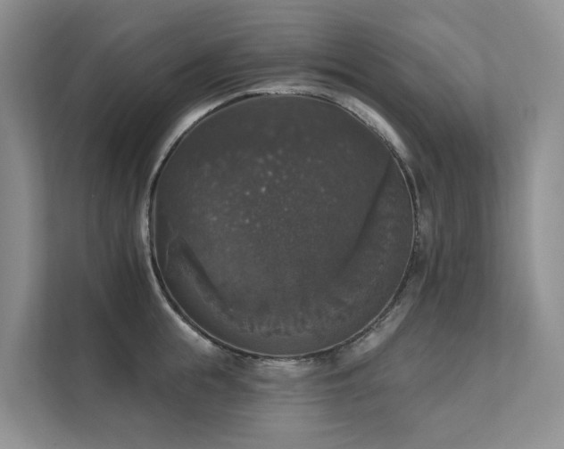 X0000111580855200907161423