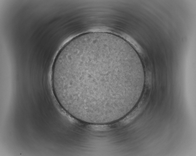 X0000111580856200907161423