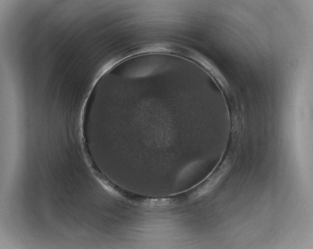 X0000111580858200907161423