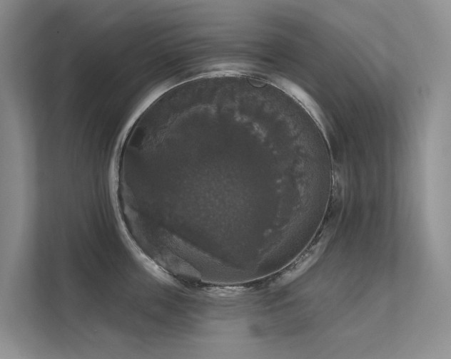X0000111580859200907161423