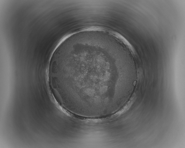 X0000111580860200907161423