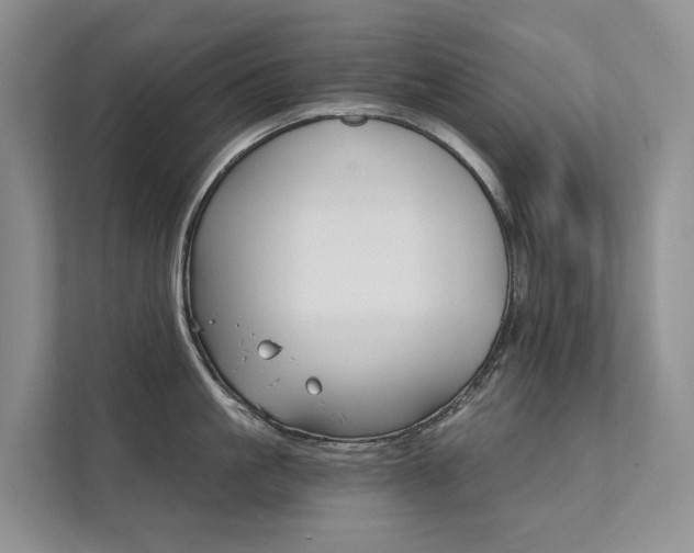 X0000111580861200907161423