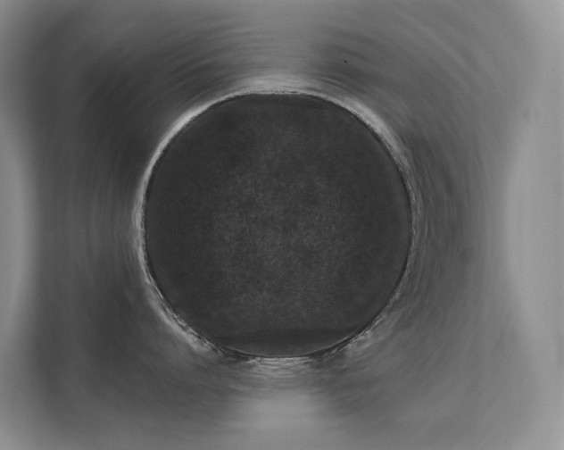 X0000111580864200907161423