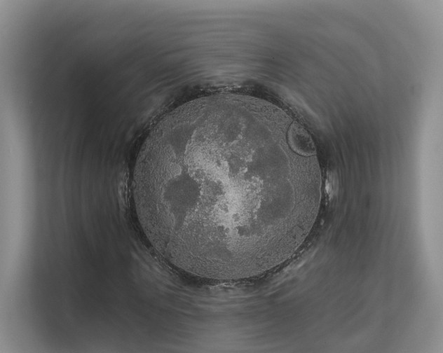 X0000111580867200907161423