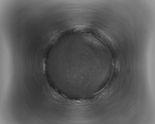 X0000111580868200907161423