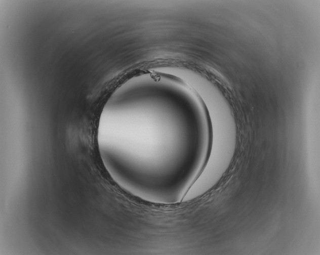 X0000111580869200907161423