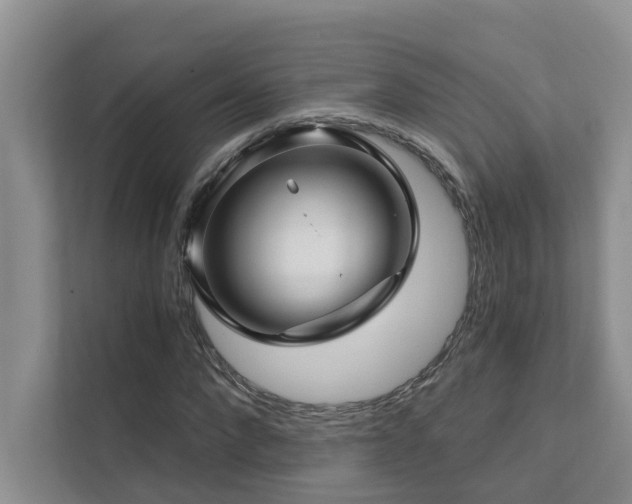 X0000111580872200907161423