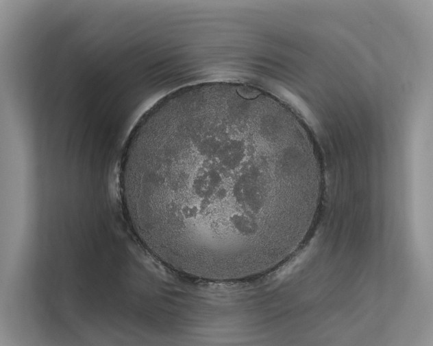 X0000111580875200907161423