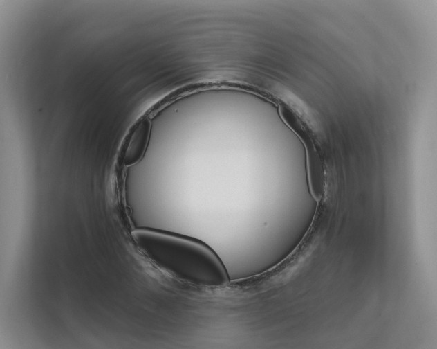 X0000111580876200907161423