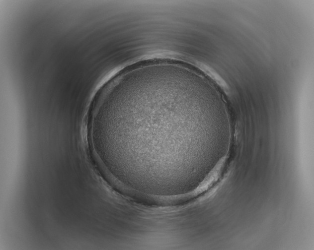 X0000111580877200907161423