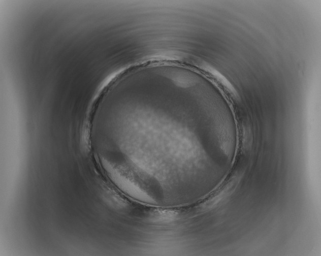 X0000111580878200907161423