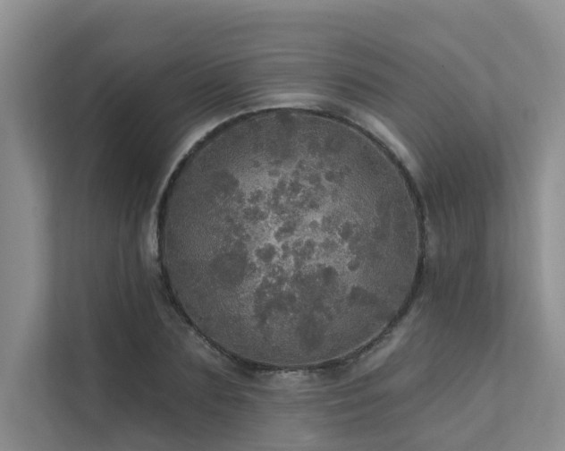 X0000111580883200907161422