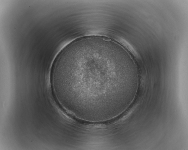 X0000111580884200907161422