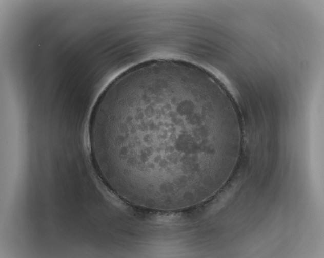 X0000111580887200907161422