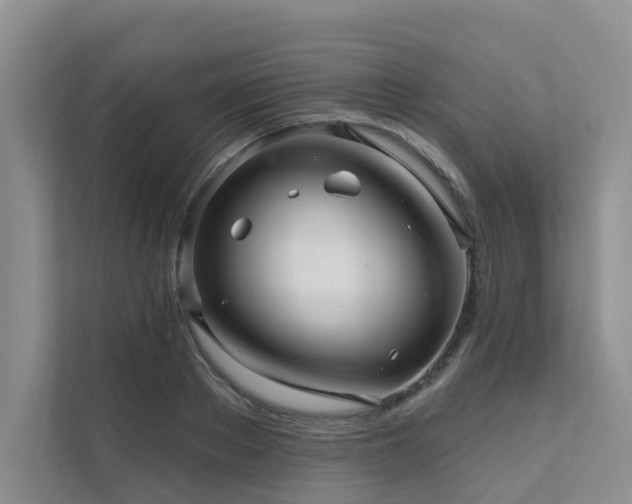 X0000111580889200907161422
