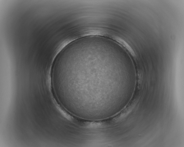 X0000111580890200907161422