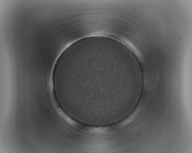 X0000111580892200907161422