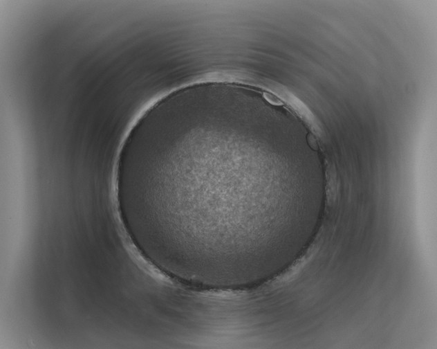 X0000111580896200907161422