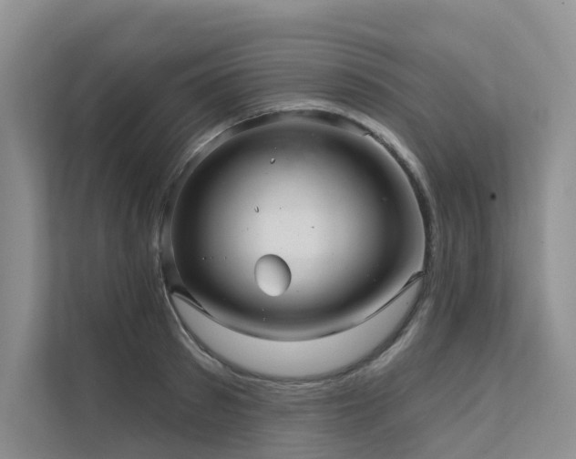 X0000111580897200907161422