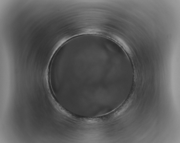 X0000111580899200907161422