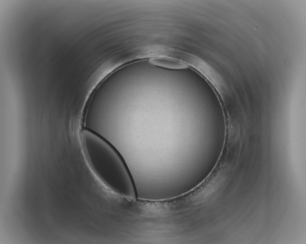 X0000111580901200907161422