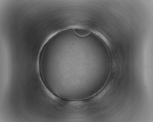 X0000111580902200907161422