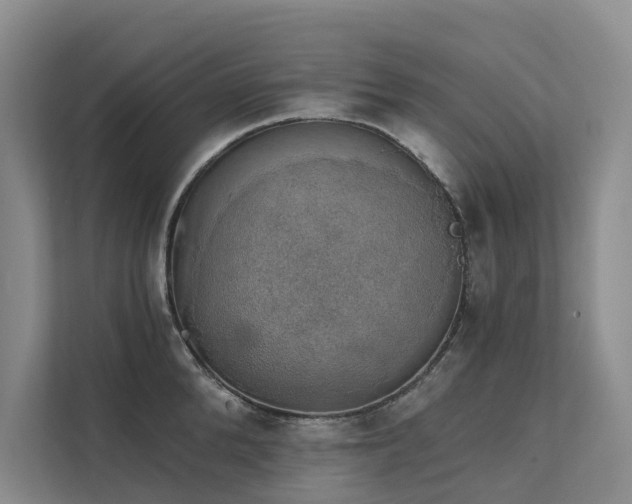 X0000111580904200907161422