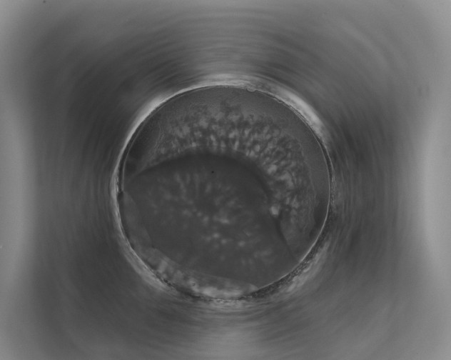 X0000111580907200907161422