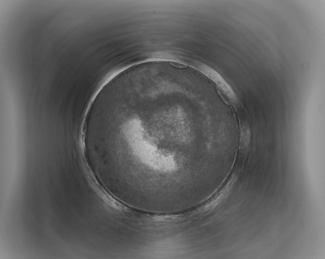 X0000111580908200907161422